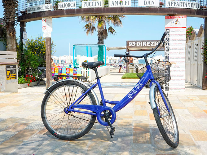 media.Rex_bicicletta_2