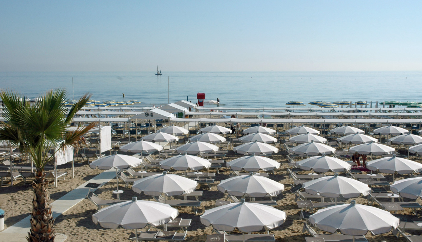 media.Hotel_Rex_Riccione-Offerta-prenotaprima